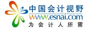 中国会计视野
